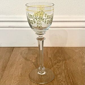 Super Rare Antique 1900s Theresienthaler German Crystal Enameled Wine Glass 8.5”